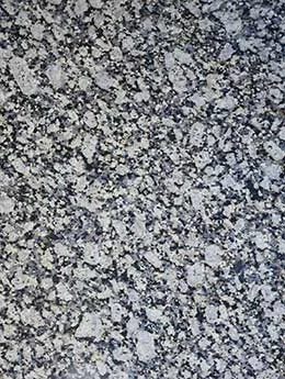 Olive White Granite Image