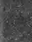Glisten Black Granite Image