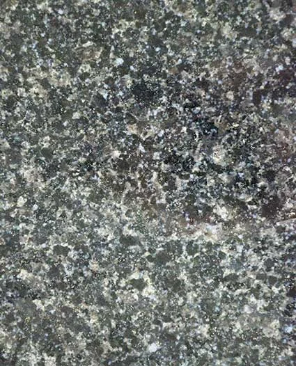 R.Black Bluedot Granite Image